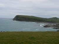 Near South Island's most southern place, Slope Point Near South Island's most southern place, Slope Point