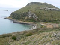 Taiaroa Head near Dunedin Taiaroa Head near Dunedin