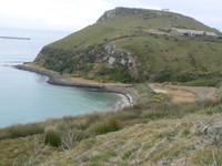 Taiaroa Head near Dunedin