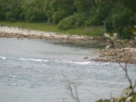 Down by the river