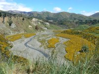 Conway River Valley on SH70