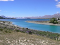 Church of the Good Shepherd at Tekapo