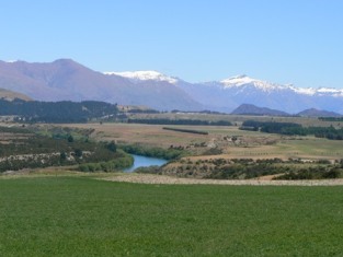 Fields near Wanaka Fields near Wanaka