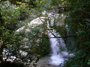 Sharplin Falls