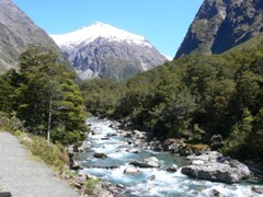 Mountain brook beside the Milford Road