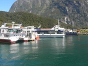 Cruise boats at Milford Sound Cruise boats at Milford Sound