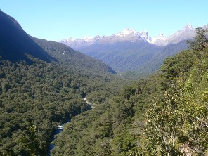 Looking toward Hollyford River Valley