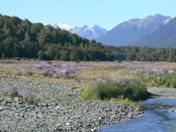 Eglinton Valley, Milford Road