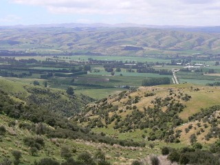 Teviot Valley, stone fruit capital of New Zealand