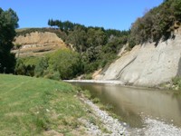 Creek out back of the lodge at Waianakarua