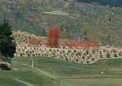 Giant reeds sway above the 13th green