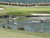 Giant dragon flies on the lake guarding the 6th