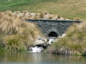 Beautifully crafted schist bridges