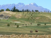 Giant balls in the fields