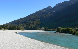 Dart River